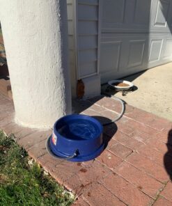 K&H Pet Products Thermal-Bowl Outdoor Heated Dog Bowl Blue 96 Ounces 34 81a1CTKAYmL