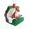 Fox Gift Box Christmas Ornament Red - Delightful! 60 81a1VgIVJDL