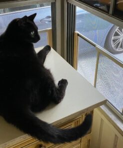 Frost King, 10in High x Fits 25-45in Wide, White WB Marvin AWS1045 Adjustable Window Screen 12 81a2MOg99L