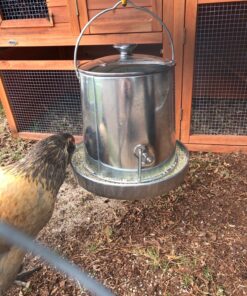 Harris Farms 1000293 Galvanized Hanging Poultry Feeder, 15 lbs, Metal 15 lb 31 81aB7QOGxWL