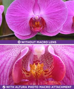 58MM 0.43x Altura Photo Professional HD Wide Angle Lens (w/Macro Portion) for Canon EOS 70D 77D 80D 90D Rebel T8i T7 T7i T6i T6s T6 SL2 SL3 DSLR Cameras 58MM 39 81aFPUb2eVL