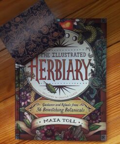 Alternative view of The Illustrated Herbiary: Guidance and Rituals from 36 Bewitching Botanicals (Wild Wisdom)