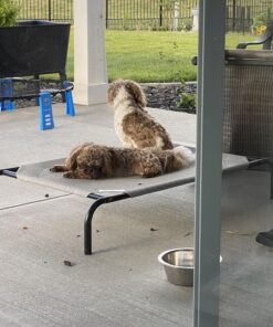 COOLAROO The Original Cooling Elevated Dog Bed, Indoor and Outdoor, Medium, Grey 42.0"L x 25.5"W x 8.0"Th 35 81aPP 9r8L