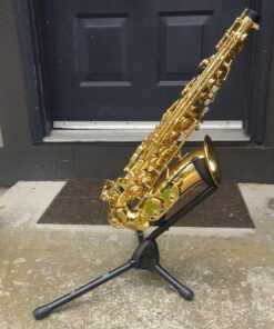 Eastar Saxophone Stand Portable Alto Sax Stand Includes 2 Detachable Pegs for Flute/Clarinet with Storage Bag, 3 in 1, EST-004, Black 19 81aUGL9VjaL