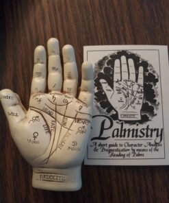 1 X Palmistry Hand by AzureGreen 32 81aVMcWnfyL