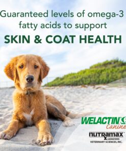 Nutramax Welactin Omega-3 Fish Oil Skin and Coat Health Supplement Liquid for Dogs - 3 Pack, 360 Total Softgels 11 81aVfBVLaQL