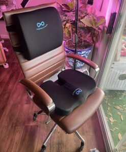 Amazon Basics High-Back Executive Swivel Office Desk Chair with Ribbed Puresoft Upholstery, Lumbar Support, Modern Style, 23.25"D x 24.75"W x 45.25"H, Brick Red 32 81aX WS9F0L