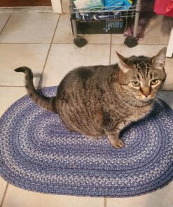 ARM & Hammer Cat Litter Deodorizer 30 oz 1.87 Pound (Pack of 1) 34 81aZ E2xG3L