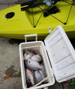 Best Marine Kayak Anchor, 3.5 Pound Anchor Kit for Kayaks, Canoes, SUP Paddle Boards & Jet Skis, Fishing, Boating & Kayaking Accessories Silver 26 81aZ8Z91 L