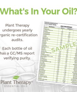 Plant Therapy Sweet Orange Organic Essential Oil 100% Pure, USDA Certified Organic, Undiluted, Natural Aromatherapy, Therapeutic Grade 10 mL (1/3 oz) 10 81aaOJ7v3xL 1