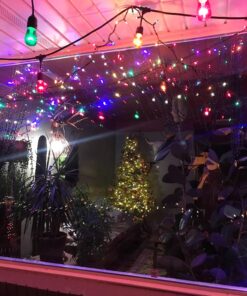 Novelty Lights 25 Pack S14 Outdoor Patio Edison Replacement Bulbs, E26 Medium Base, Multi, 11 Watt 25 Count (Pack of 1) 43 81acMtgO9iL