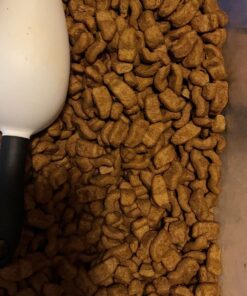 Royal Canin Bulldog Adult Dry Dog Food, 30 lb bag Chicken 30 Pound (Pack of 1) 29 81agL3DbcHL