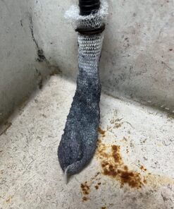 Sumind 30 Pack Nylon Lint Trap Washing Machine Lint Fabric Mesh Snare Washer Lint Catcher with 30 Pack Cable Ties 15 81agqNZGILL