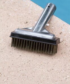 Poolmaster 20178 Aluminum-Back Swimming Pool Wall Brush with Stainless Steel Bristles, 5-Inch, Silver Steel Brush 12 81aikGszIL
