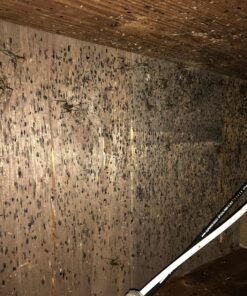 Alternative view of Niban 10387 Nisus Fine Granular Bait #1, Clear, 1_Pound