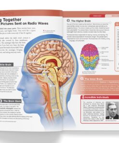Knowledge Encyclopedia: Human Body (Knowledge Encyclopedia For Children) Hardcover 10 81aiwUQF3GL