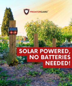 Predator Guard Solar Powered Predator Deterrent LED Light - Scares & Deters Nocturnal Animals Away, Built to Repel Coyote, Fox, Skunk, Bear, Racoon & Wild Creatures - Protect Your Property! 1 26 81alVEj2BJL