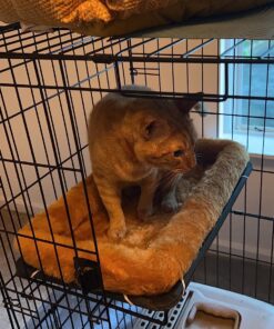 MidWest Homes for Pets Dog Bed 22L-Inch White Cinnamon Dog Bed or Cat Bed w/ Comfortable Bolster | Ideal for XS Dog Breeds & Fits a 22-Inch Crate | Easy Maintenance Machine Wash & Dry 31 81am k2lbaL