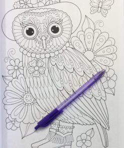 Groovy Owls Coloring Book (Coloring is Fun) (Design Originals) 32 Adorable Art Activities with Quiet, Stoic, Wise, and Happy Owls, plus Beginner-Friendly Advice, Techniques, Color Choices, & Examples Paperback, Coloring Book 47 81an5kA eL