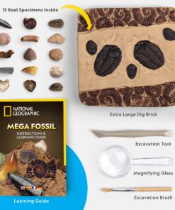 NATIONAL GEOGRAPHIC Mega Fossil Dig Kit - Excavate 15 Genuine Prehistoric Fossils, Kids Educational Toys, Great Science Kit Gift for Girls and Boys (Amazon Exclusive) 28 81ap4OEKGL