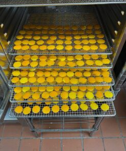 M JINGMEI Round Cookie Biscuit Cutter Set 12 Pieces Graduated Circle Pastry Cutters 18/8 Stainless Steel Cookie Cutters1inch - 4 1/2inch Donut Cutter Ring Molds 12pcs(1-4.5in) 13 81apeUvItIL