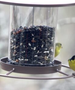 Perky-Pet 312-1SR Outdoor Panorama Wild Bird Feeder - 2 Lb Seed Capacity Brown 45 81aqBuGywQL