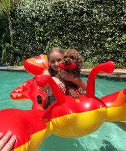 Intex Lobster Ride-On 30 81aqglfZY L