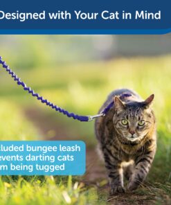 PetSafe Come With Me Kitty Harness and Bungee Leash, Harness for Cats, Large, Royal Blue/Navy 23 81aqlfFfYWL
