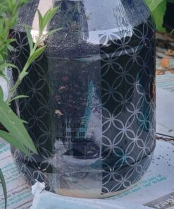 TERRO T380 Outdoor Reusable Fly Magnet Fly Trap - Poison Free Fly Killer and Trap with Bait 44 81arorCgPFL