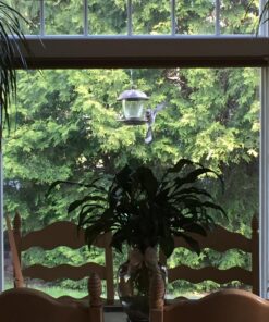 Perky-Pet 305 Holly Berry Gilded Chalet Wild Bird Feeder Gold 44 81at PbmHWL