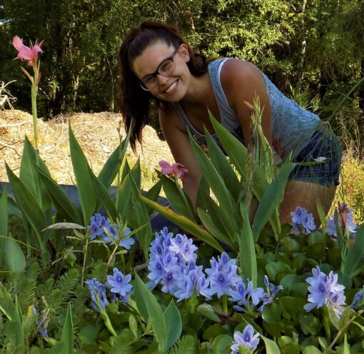 Water Hyacinths Floating Water Garden Plants (12 live plants)