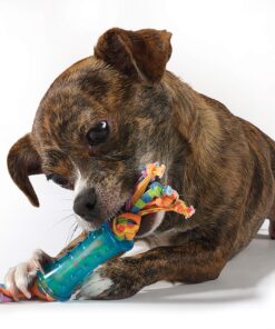 Petstages Orka Mini Dental Dog Chew Toys - 3 Pack Dental Chew 3 Pk 30 81b0T3ZtMYL