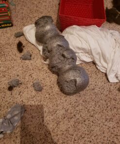 Rollga PRO - The BETTER Foam Roller for Flexibility, Muscle Recovery, Back & Neck Massage, & Exercise (Black) Black 37 81b2xexUjNL