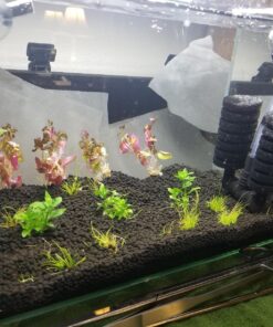 PENN-PLAX Standard Airline Tubing for Aquariums – Clear and Flexible – Resists Kinking – Safe for Freshwater and Saltwater Fish Tanks – 8 Feet 30 81b8e2rTMdL