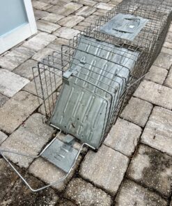 Havahart 1079SR Large 1-Door Humane Catch and Release Live Animal Trap for Raccoons, Cats, Bobcats, Beavers, Small Dogs, Groundhogs, Opossums, Foxes, Armadillos, and Similar-Sized Animals 34 81b9XzSy5OL