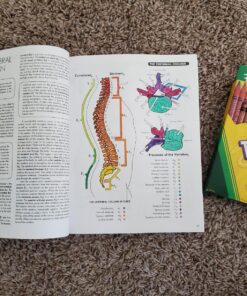 Anatomy Coloring Workbook, 4th Edition: An Easier and Better Way to Learn Anatomy Paperback, Coloring Book 21 81bCcmBMiiL