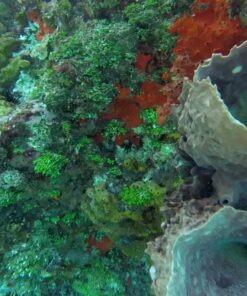 GoPro HERO+ (Wi-Fi Enabled) 36 81bEbQUB0UL