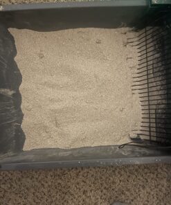 Pet Zone Semi Automatic Cat Litter Box Self Cleaning - Smart Scoop Cat Litter Box with Bags & Carbon Filter for Up to Two Cats 6-16 Pounds Smart Scoop Litter Box 47 81bFar2jX6L