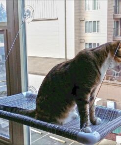 Kitty Cot Original World's Best Cat Perch (Large) Black Color Kitty Cot Large 45 81bGQ5HgeaL