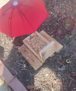 Kaytee Backyard Wildlife Food Blend For Wild Squirrels, Chipmunks, Rabbits and Other Backyard Wildlife, 5 Pound 5 Pound (Pack of 1) 26 81bHa3JHLgL