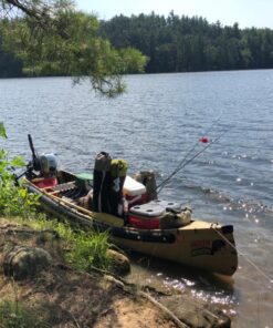 Minn Kota Endura C2 30 Freshwater Transom Mounted Trolling Motor (30" Shaft) 50 81bIDKgrStL