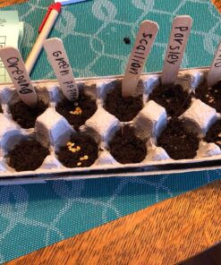 Backyard Safari Company Sunny-Side Up Gardens, Little Pizza Garden 15 81bIK4Xy9L