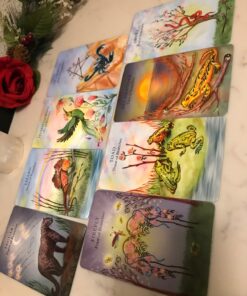 The Animal Wisdom Tarot: An inspirational guide to using tarot cards and their meanings 29 81bJ bFSGLL