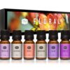 P&J Fragrance Oil Floral Set | Violet, Jasmine, Rose, Lilac, Freesia, and Gardenia Candle Scents for Candle Making, Freshie Scents, Soap Making Supplies, Diffuser Oil Scents 0.34 Fl Oz (Pack of 6) 19 81bJLOW10cL