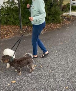 Pet Dog Double Leashes - No Tangle Dog Leash Coupler, Comfortable Shock Absorbing Reflective Bungee Lead for Nighttime Safety, Dual Dog Training Leash for Small, Medium & Large Dogs (Black) 23 81bTpiyvC7L