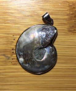 JOYA GIFT Charm Handmade Natural Conch Fossil Ammonite By Silver Wrapped Pendant Necklace (1 PCE). 41 81bUFVJQifL