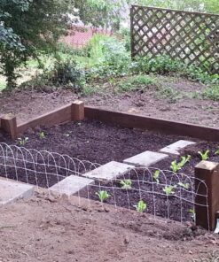 Survival Essentials Garden Heirloom Seed Vault, 100 Variety, Over 17,500 Vegetable, Fruit, and Herbs Seeds, Non-GMO, Non-Hybrid, Plus Free Microgreens Kit 46 81bVXr YsaL