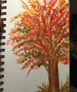 Strathmore 460-55 400 Series Visual Watercolor Journal, 140 LB Cold Press, 5.5"x8", 22 Sheets , White 5.5x8.5 Watercolor 140LB 55 81bW0o6ovL