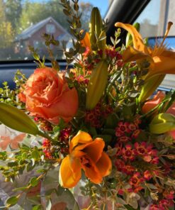 Fiskars Bypass Pruning Shears 5/8” Garden Clippers - Plant Cutting Scissors with Sharp Precision-Ground Steel Blade Bypass Pruner 36 81bXwZjRoAL