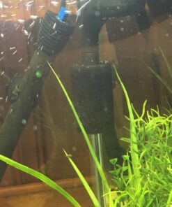 Zanyzap Pre-Filter Sponge 3 Pack for Fluval Edge Aquarium 35 81baBTvyVtL